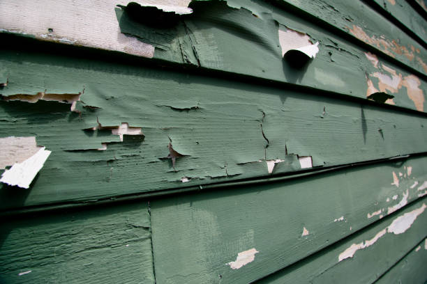 Best Moving and Downsizing Cleanouts  in Perry, MI