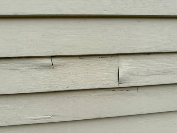 Best Hoarding Cleanup  in Perry, MI